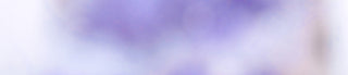 collection background banner