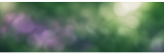 Soft-focus background with blurred green and purple hues creating a calm, natural atmosphere reminiscent of foliage and flowers.